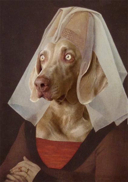 Weeks (weimaraner) meets Rogier van der Weyden