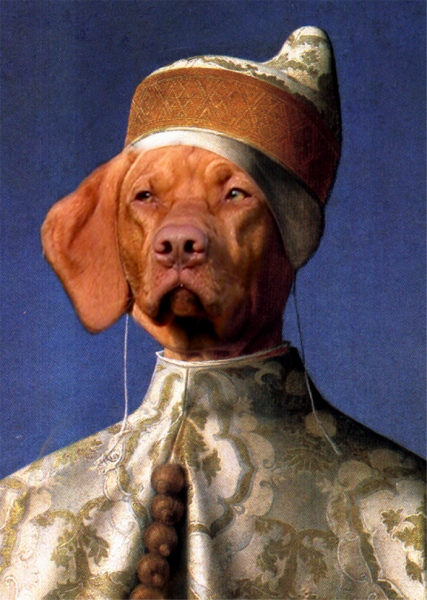 Luka (vizsla) meets Giovanni Bellini